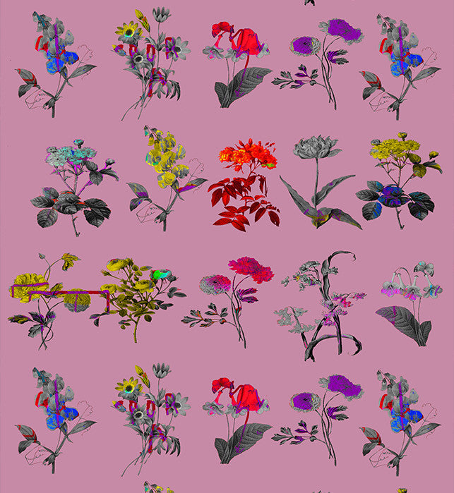 Fabric - Chiaroscuro - Pink