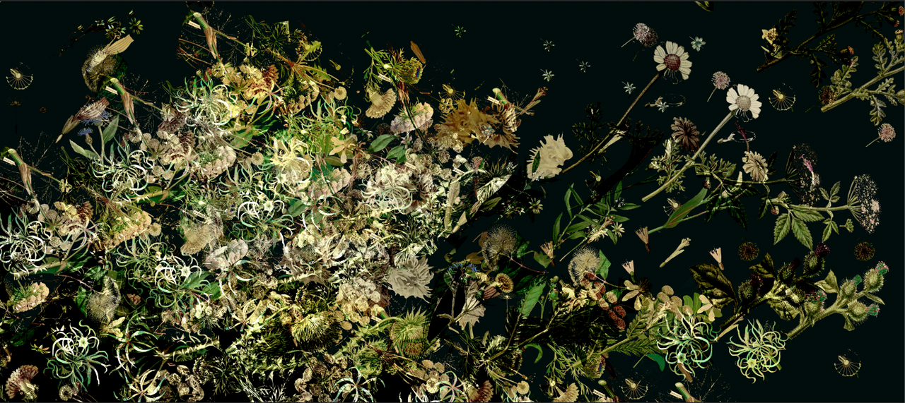 Wallpaper - Floral Explosion