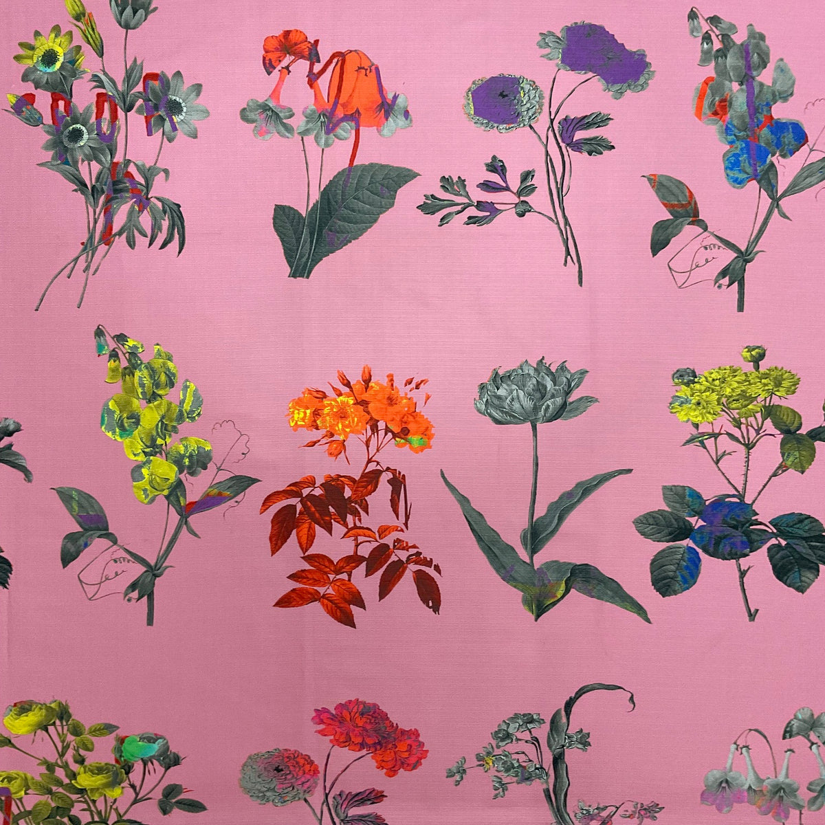 Fabric - Chiaroscuro - Pink (Archive Drop)