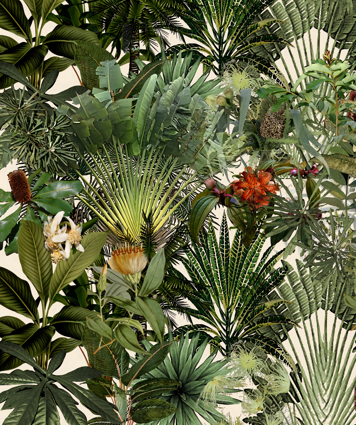 Wallpaper - Nature Study - Classic