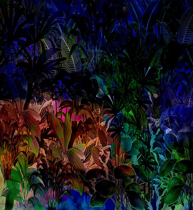 Wallpaper - Jungle Vibe - Hyperbole