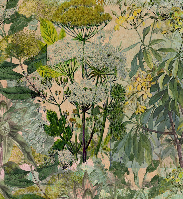 Fabric - Into the Wild - Wild Bunch in Pink