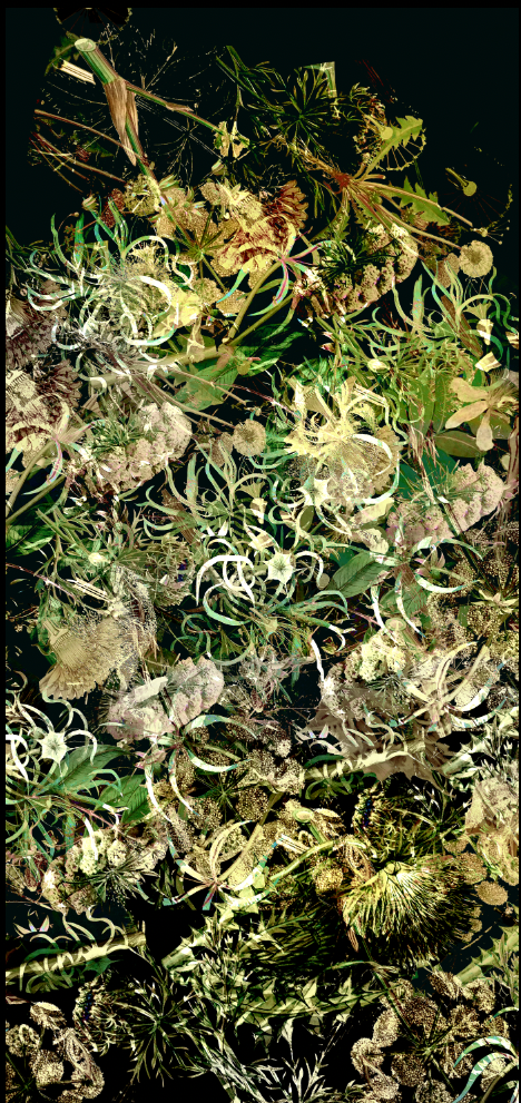 Fabric - Floral Explosion