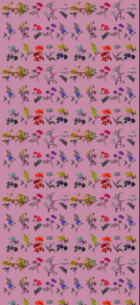 Fabric - Chiaroscuro - Pink