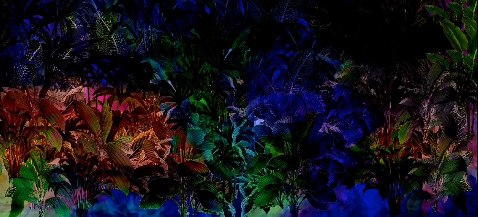 Wallpaper - Jungle Vibe - Hyperbole