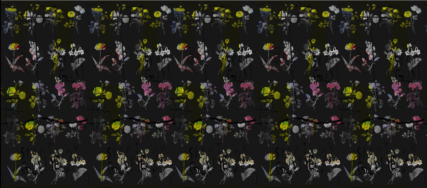 Wallpaper - Chiaroscuro - Black Magic