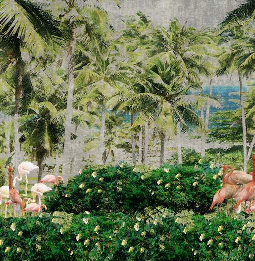 Wallpaper - Flamingos in the Tropics
