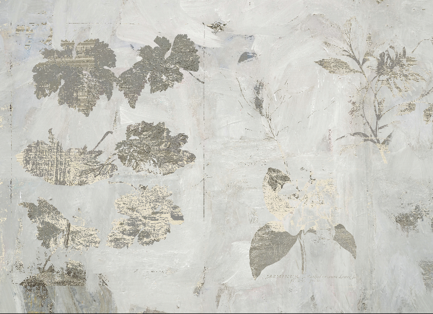 Wallpaper - Casa Mia - Apartment Near Rome in White