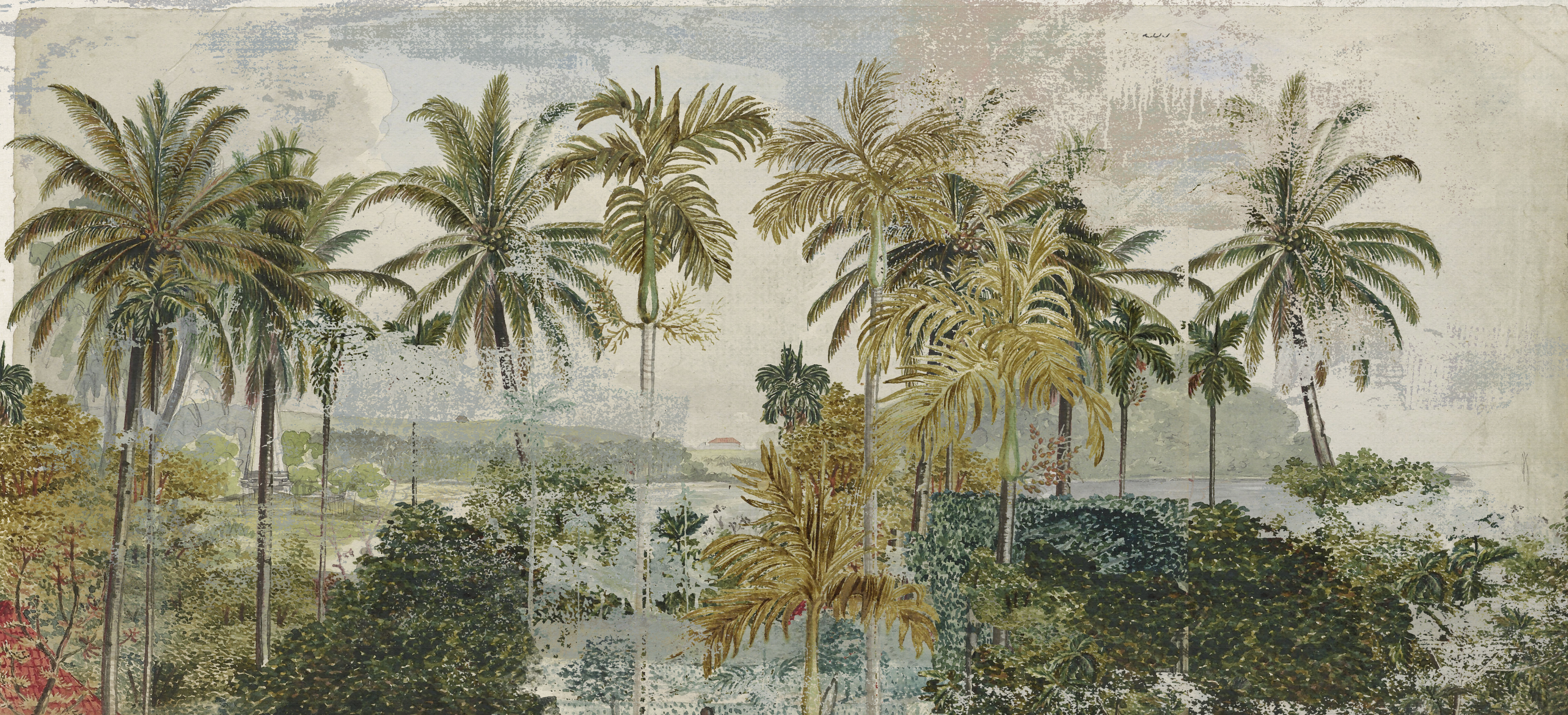 Wallpaper - Into the Wild - Scenic Impressions