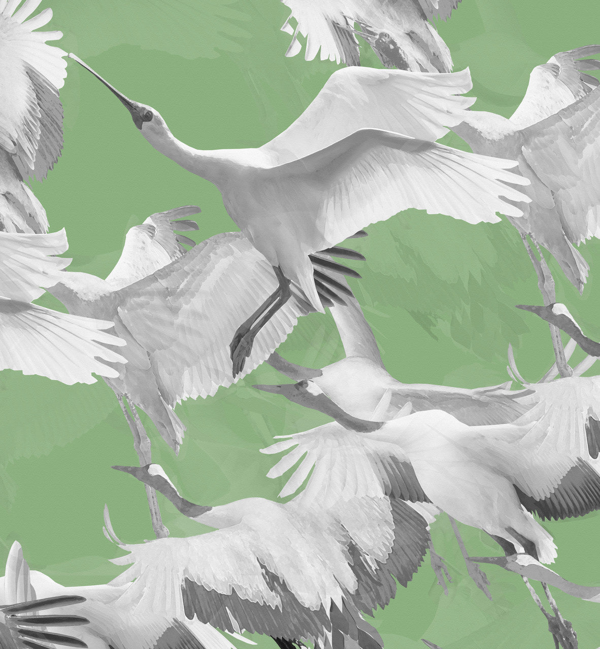 Wallpaper - Ryokan Dreaming - Cranes in Flight Green