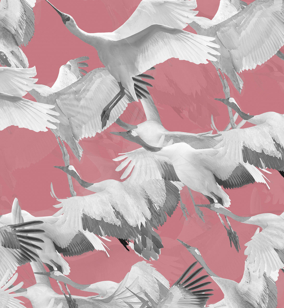 Wallpaper - Ryokan Dreaming - Cranes in Flight Pink