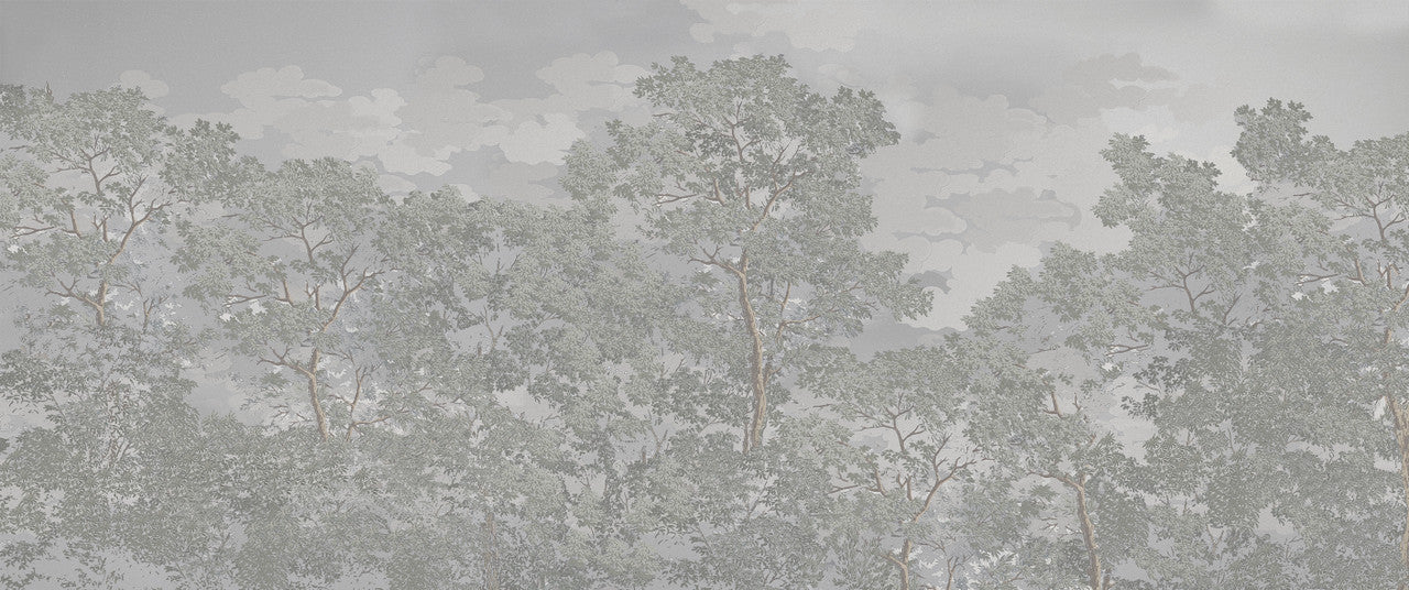 Wallpaper - Into the Woods - Morning