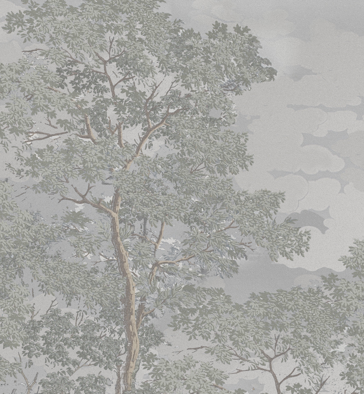 Wallpaper - Into the Woods - Morning