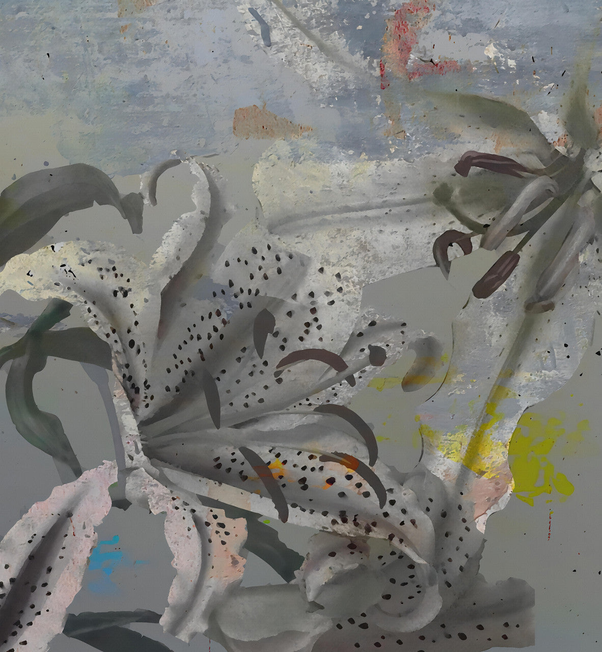 Wallpaper - Floating World - Melting Lilly