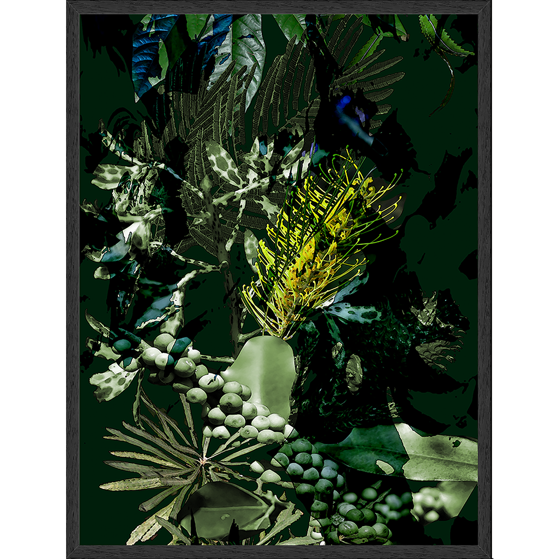 Framed Art Print - Nature Study