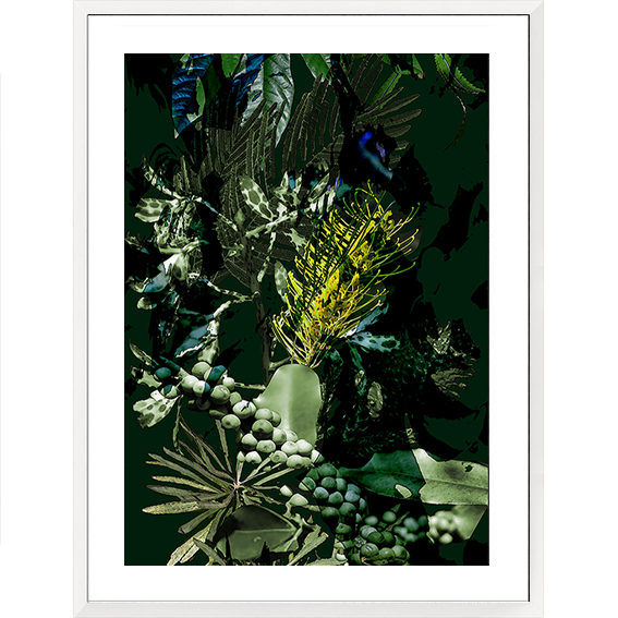 Framed Art Print - Nature Study