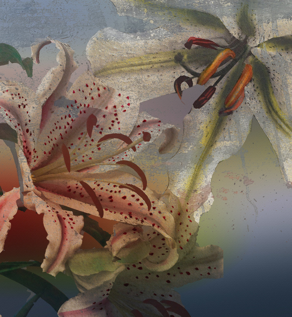 Wallpaper - Floating World - Rainbow Lilly