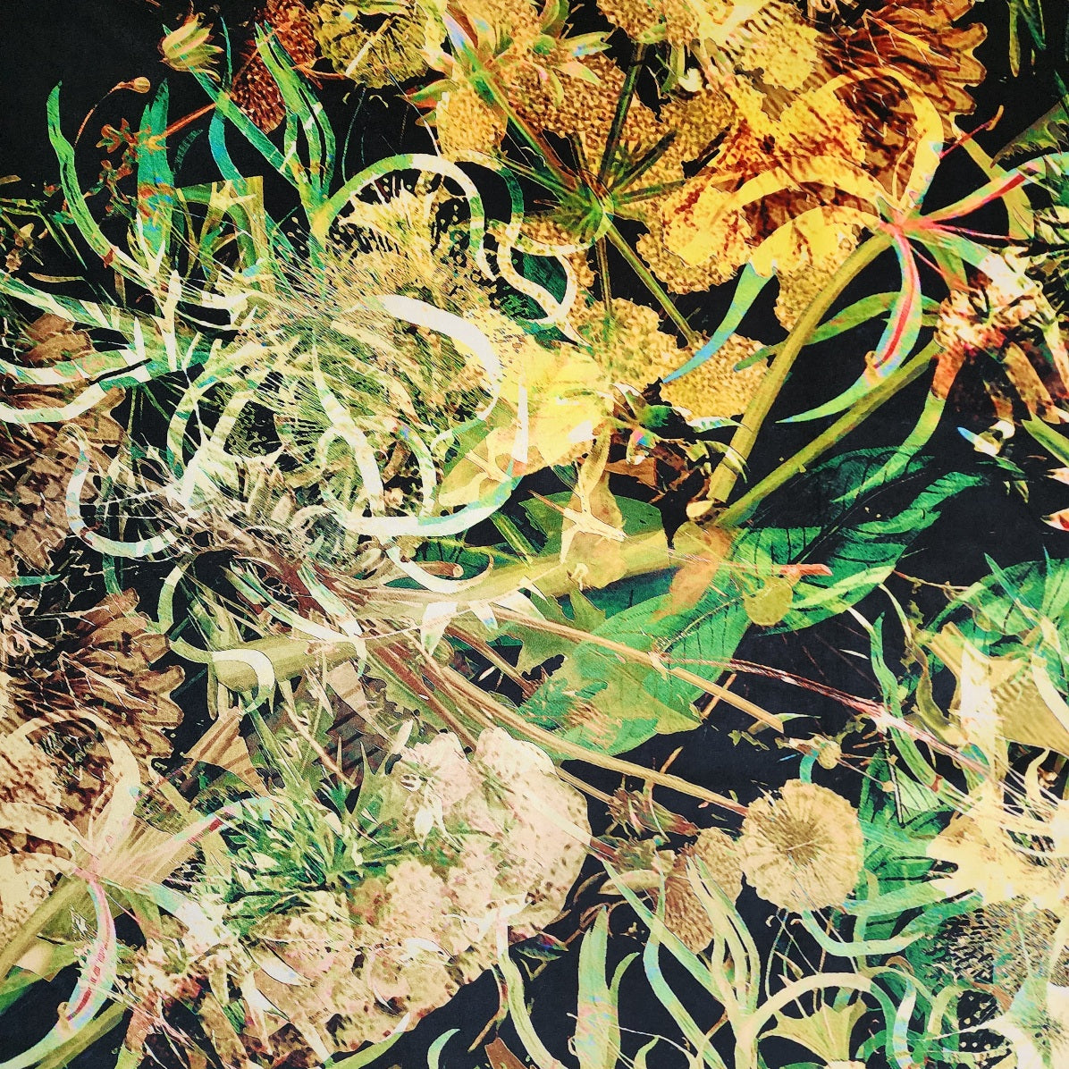 Fabric - Floral Explosion