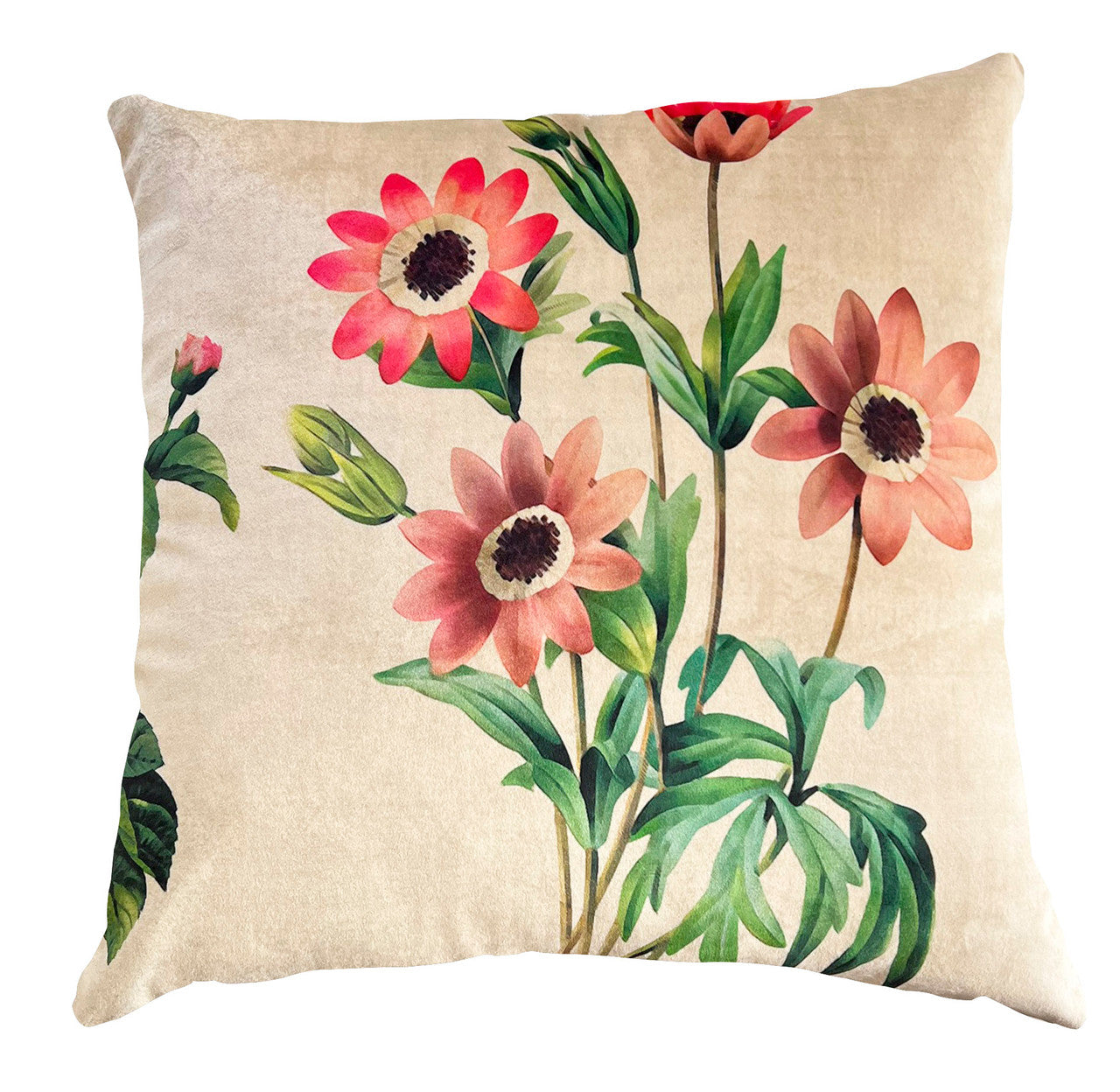 Cushion - Field Trip - Carnation