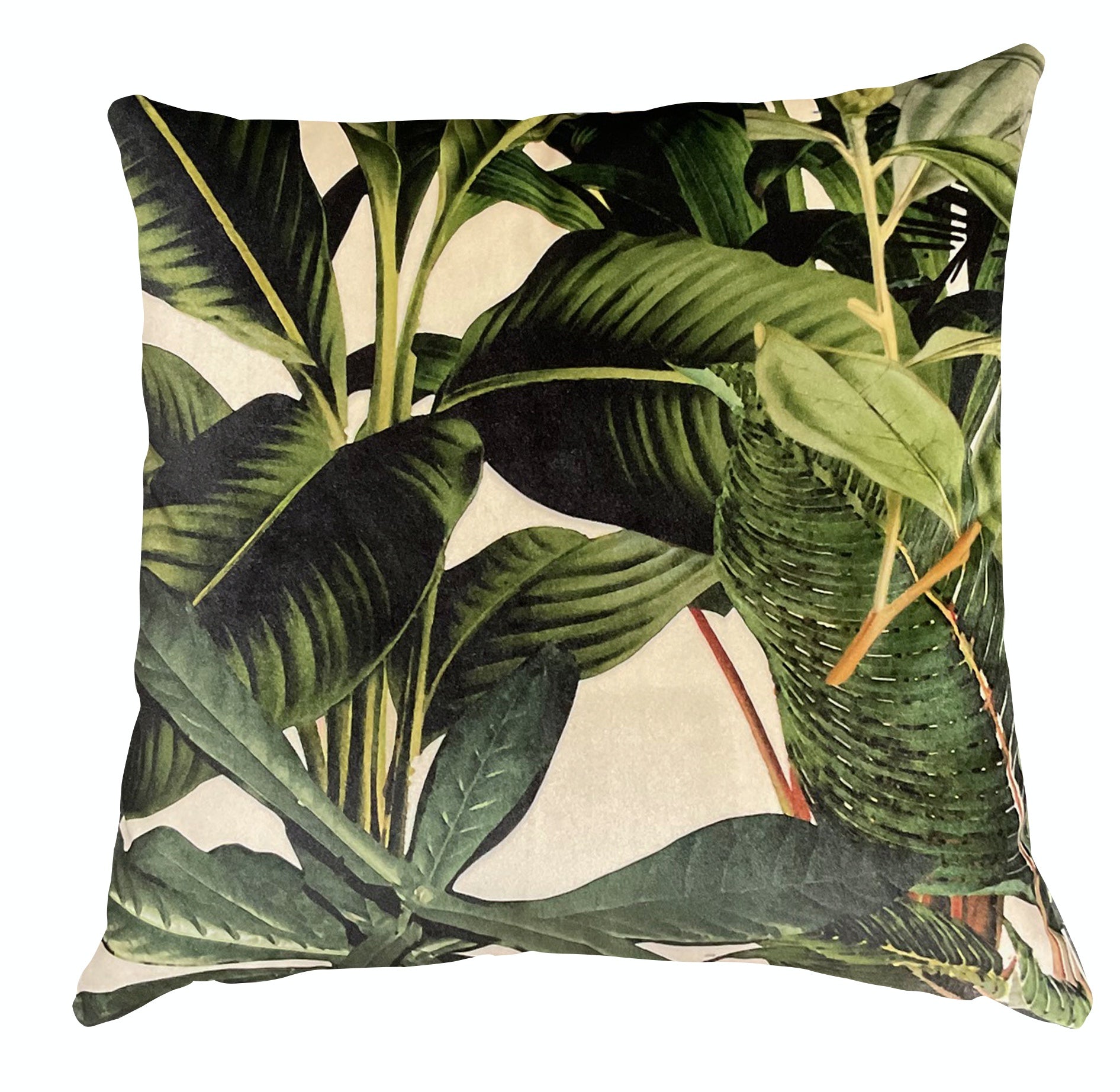 Cushion - Nature Study