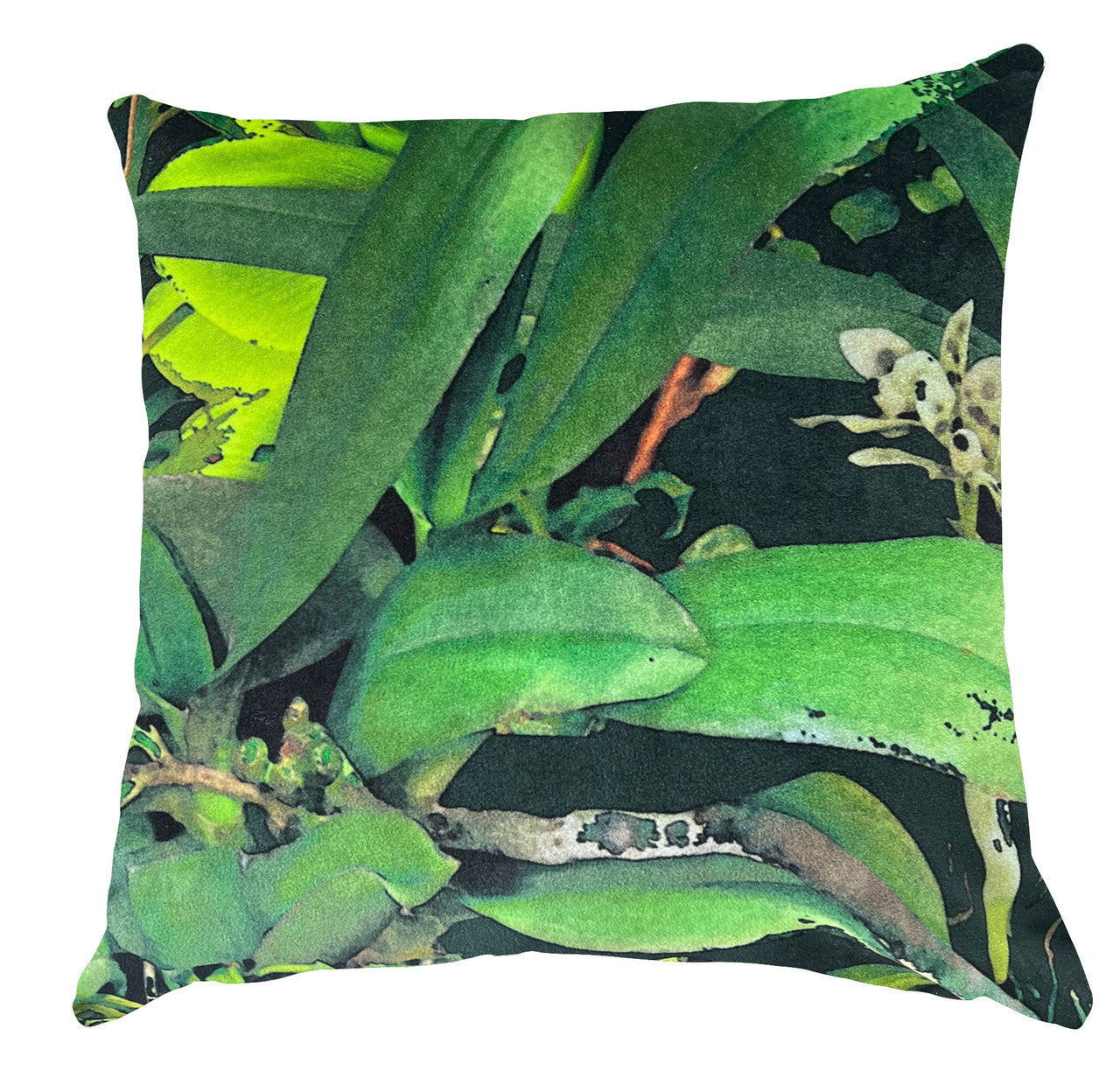 Cushion - Nature Study - Wild Orchids