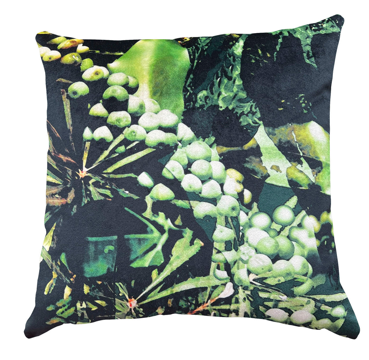 Cushion - Nature Study - Wild Plum