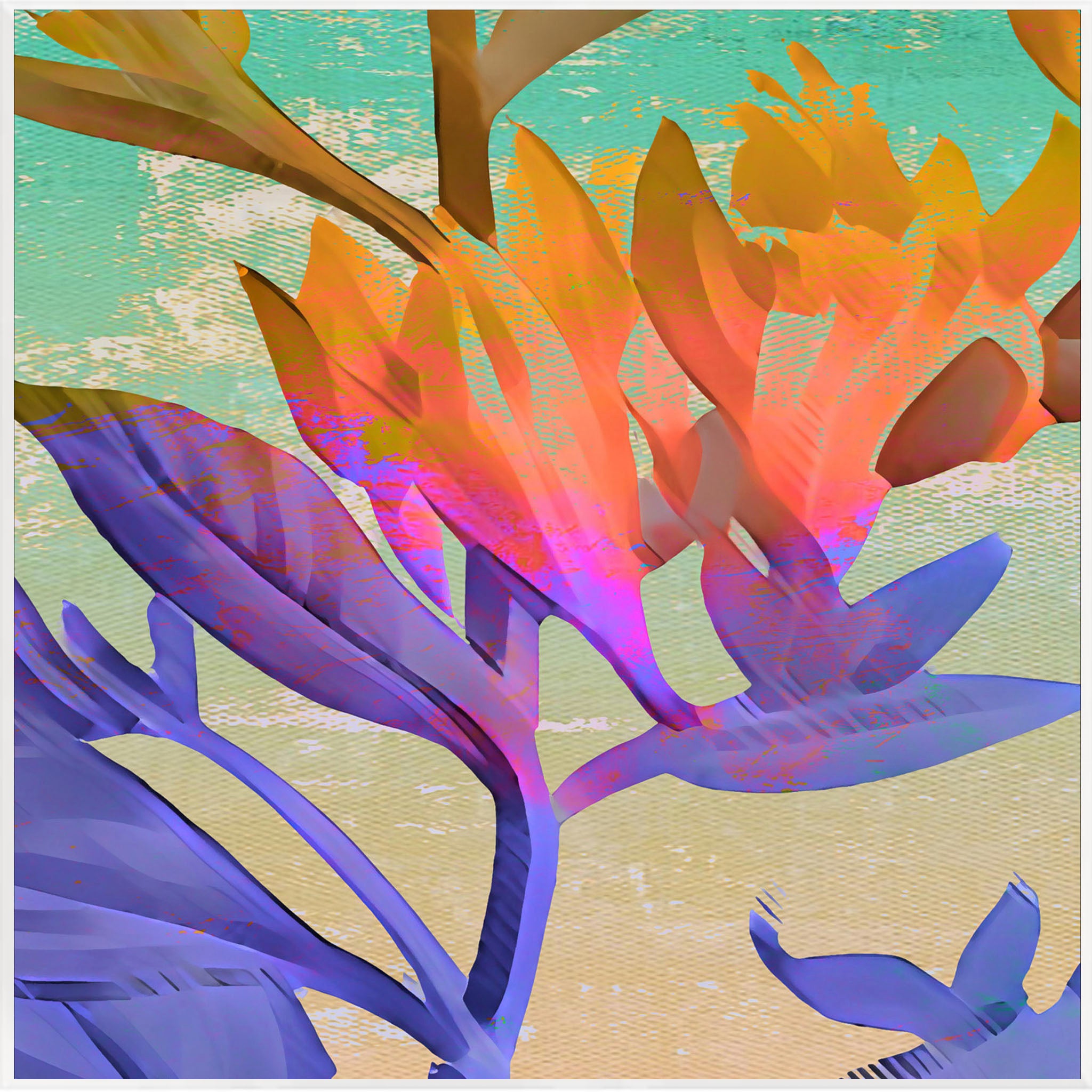 Framed Art Print - Field Trip - Magic Hour
