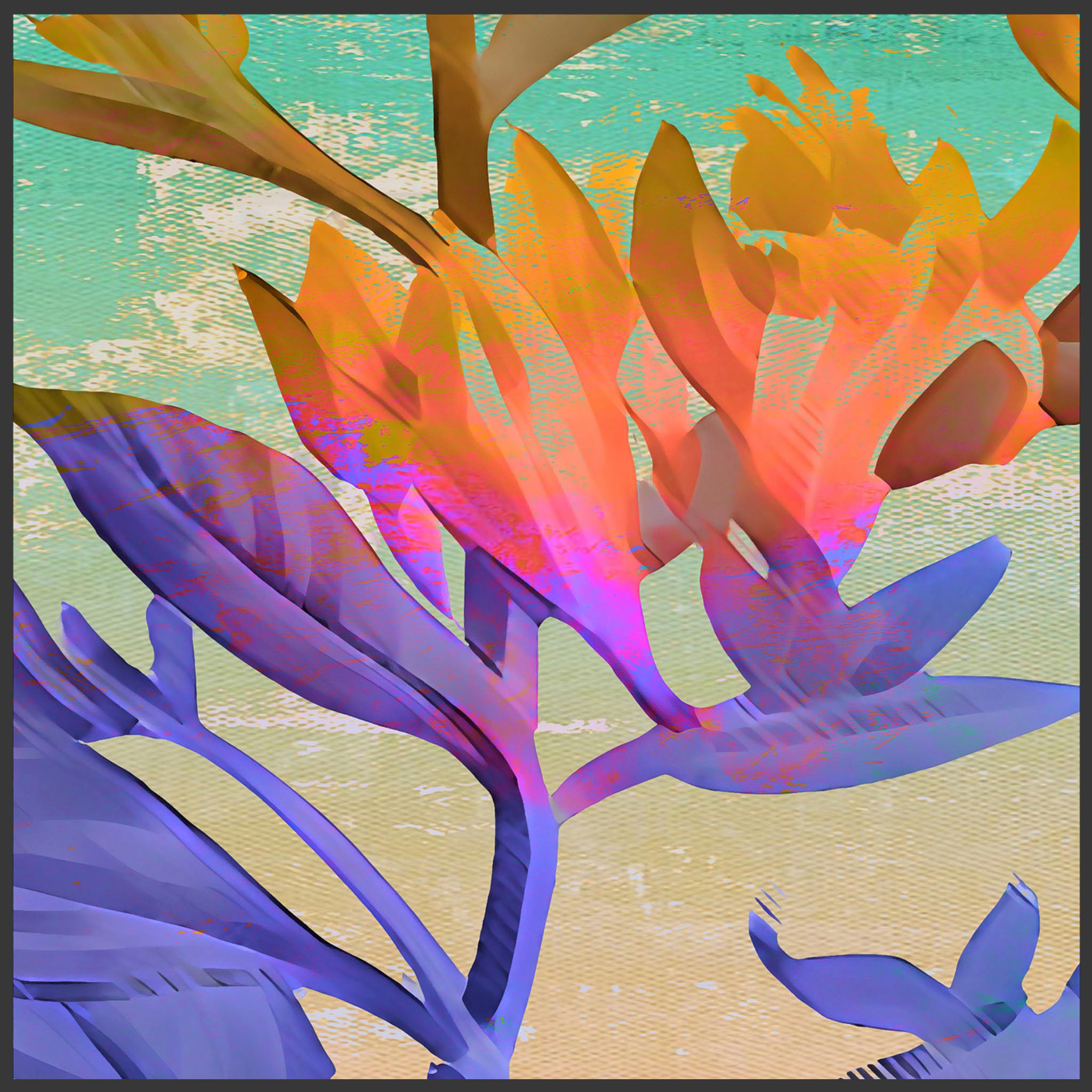 Framed Art Print - Field Trip - Magic Hour