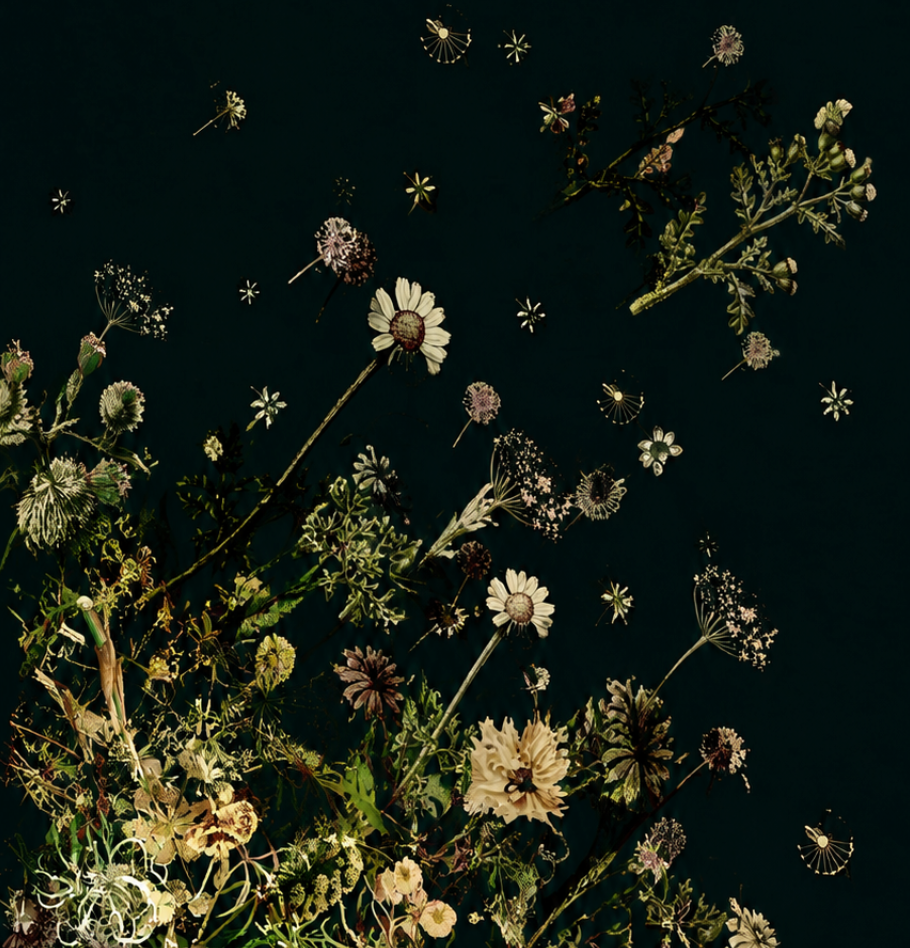 Fabric - Floral Explosion
