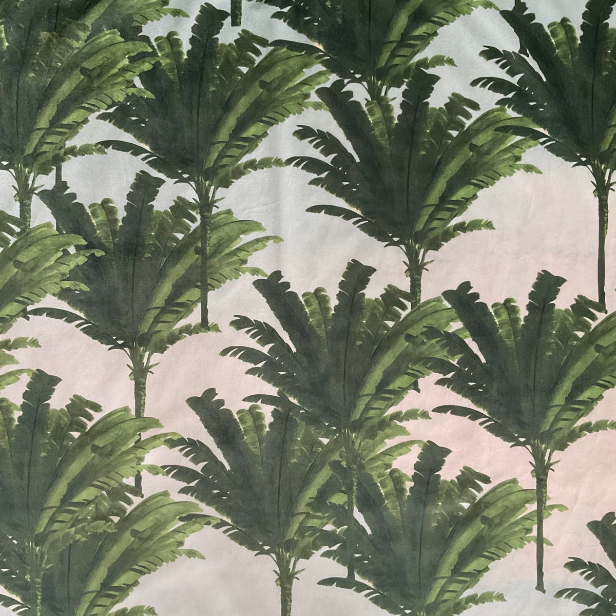 Fabric - Palm Beach (Archive Drop)
