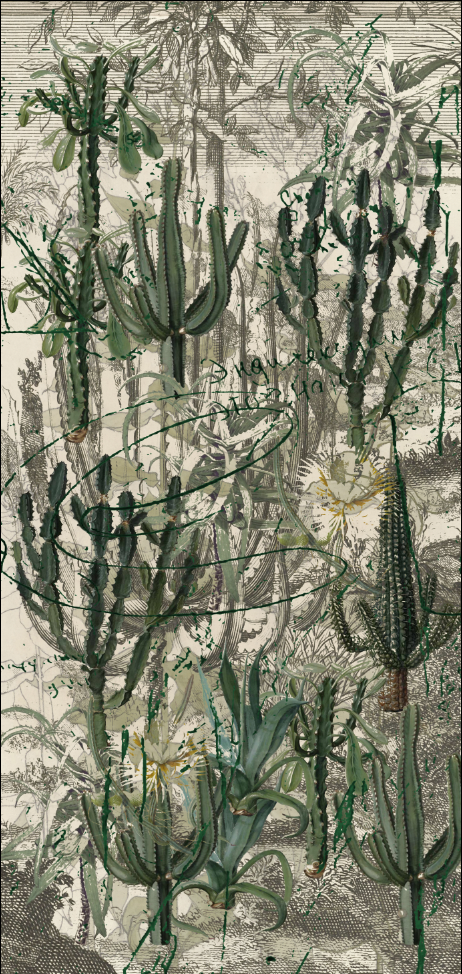Fabric - Cactus Garden - Looking Sharp