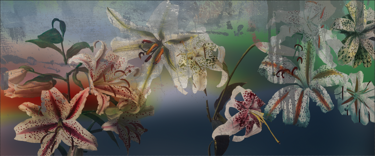 Wallpaper - Floating World - Rainbow Lilly