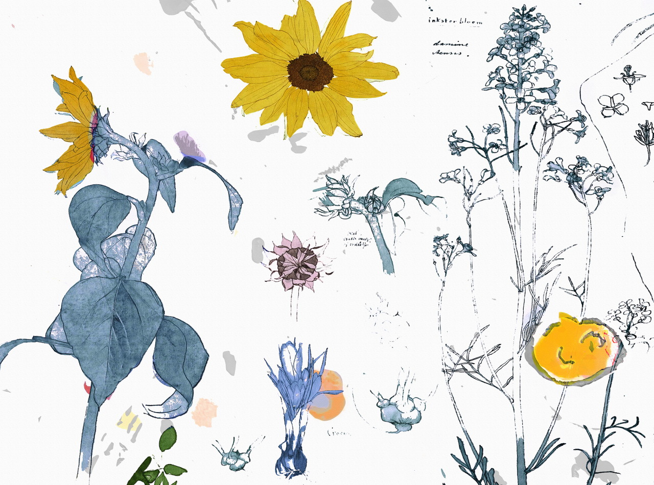 Wallpaper - Science Project - Botany