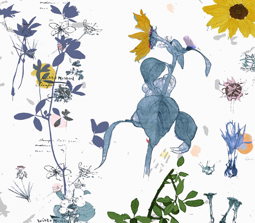 Fabric - Science Project - Botany