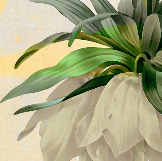 Wallpaper - Field Trip - Crown Imperial