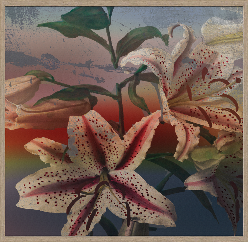 Framed Art Print - Floating World - Rainbow Lilly
