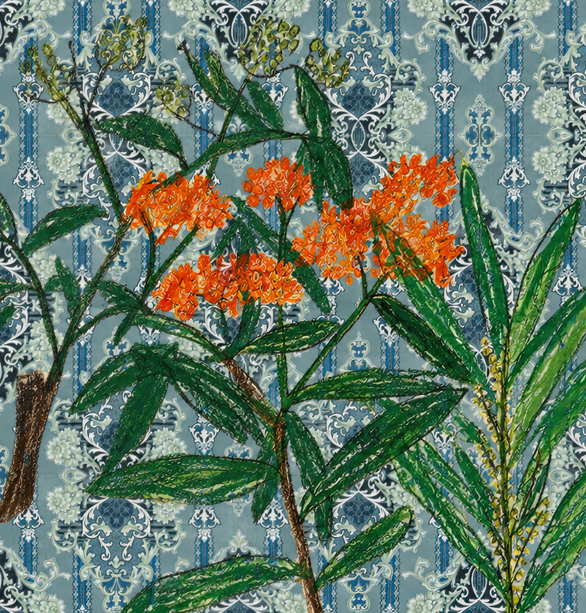 Wallpaper - Botanical Graffiti - Wild Manners