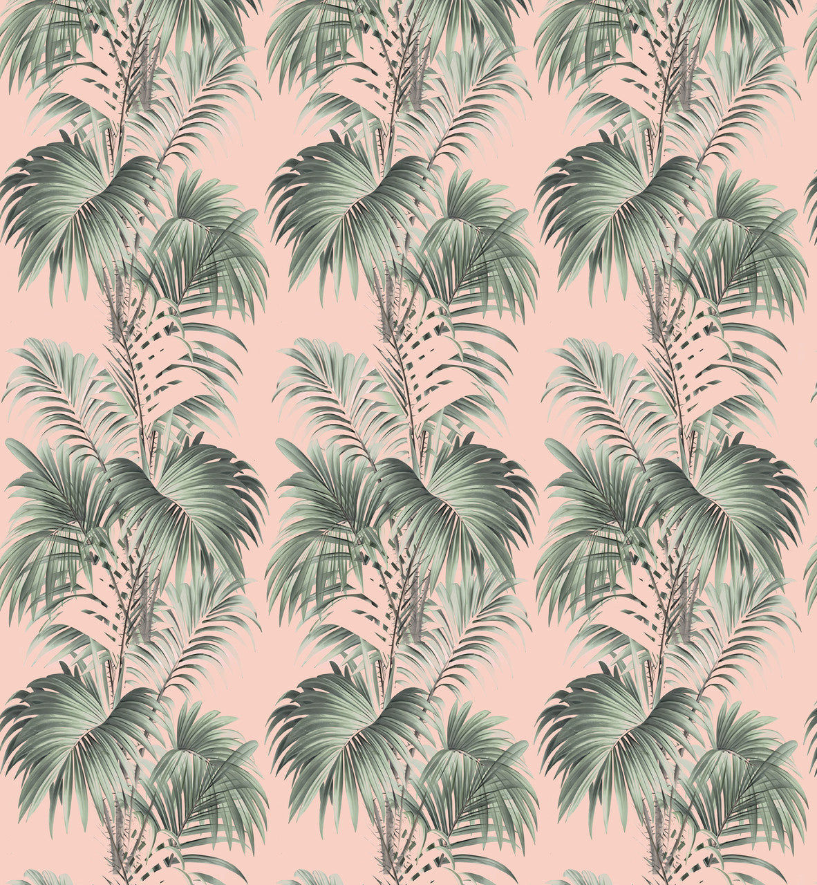 Wallpaper - Hollywood Palms