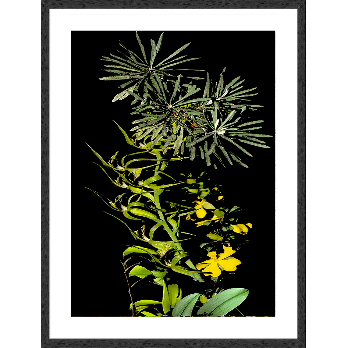 Framed Art Print - Nature Study - Yellow Orchids