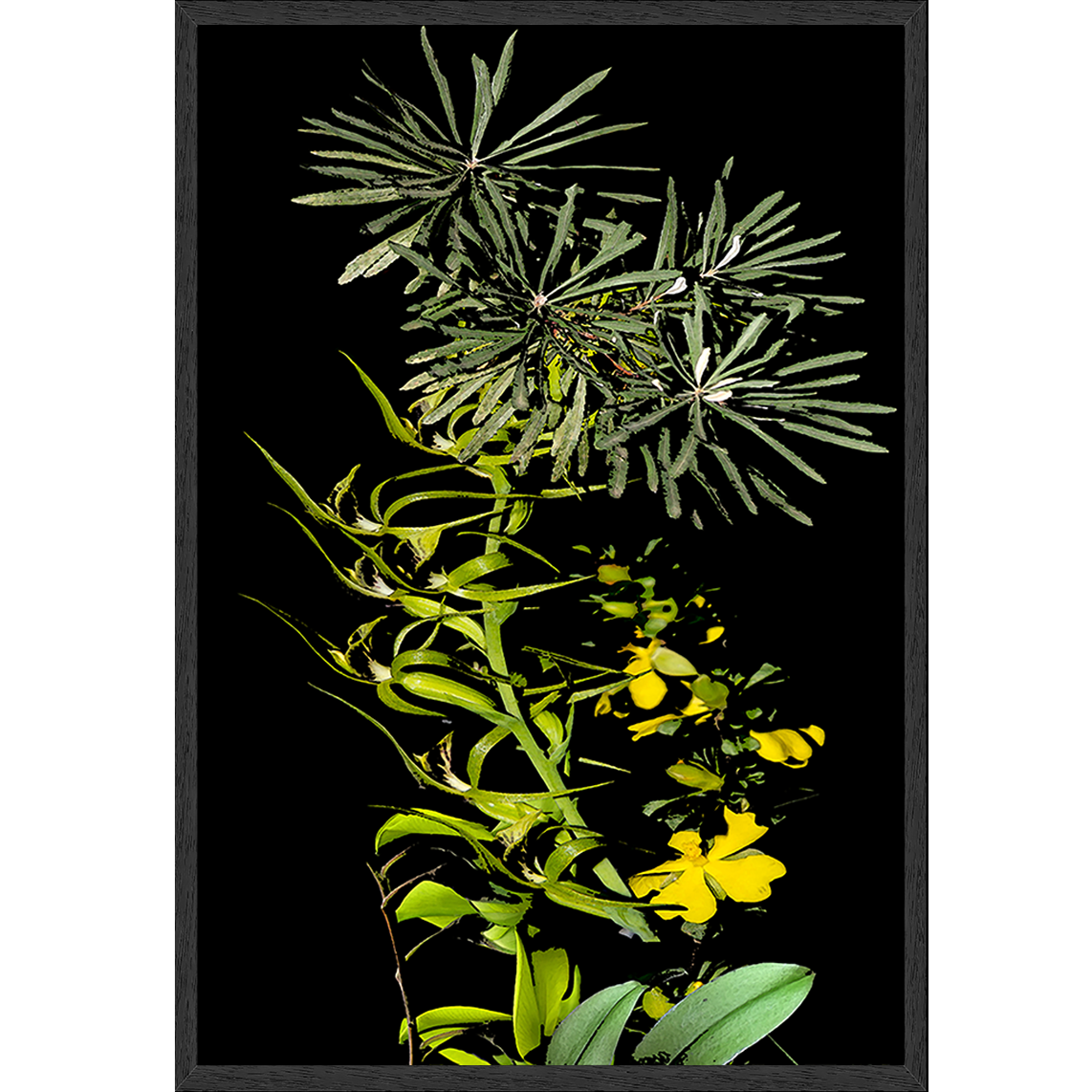 Framed Art Print - Nature Study - Yellow Orchids