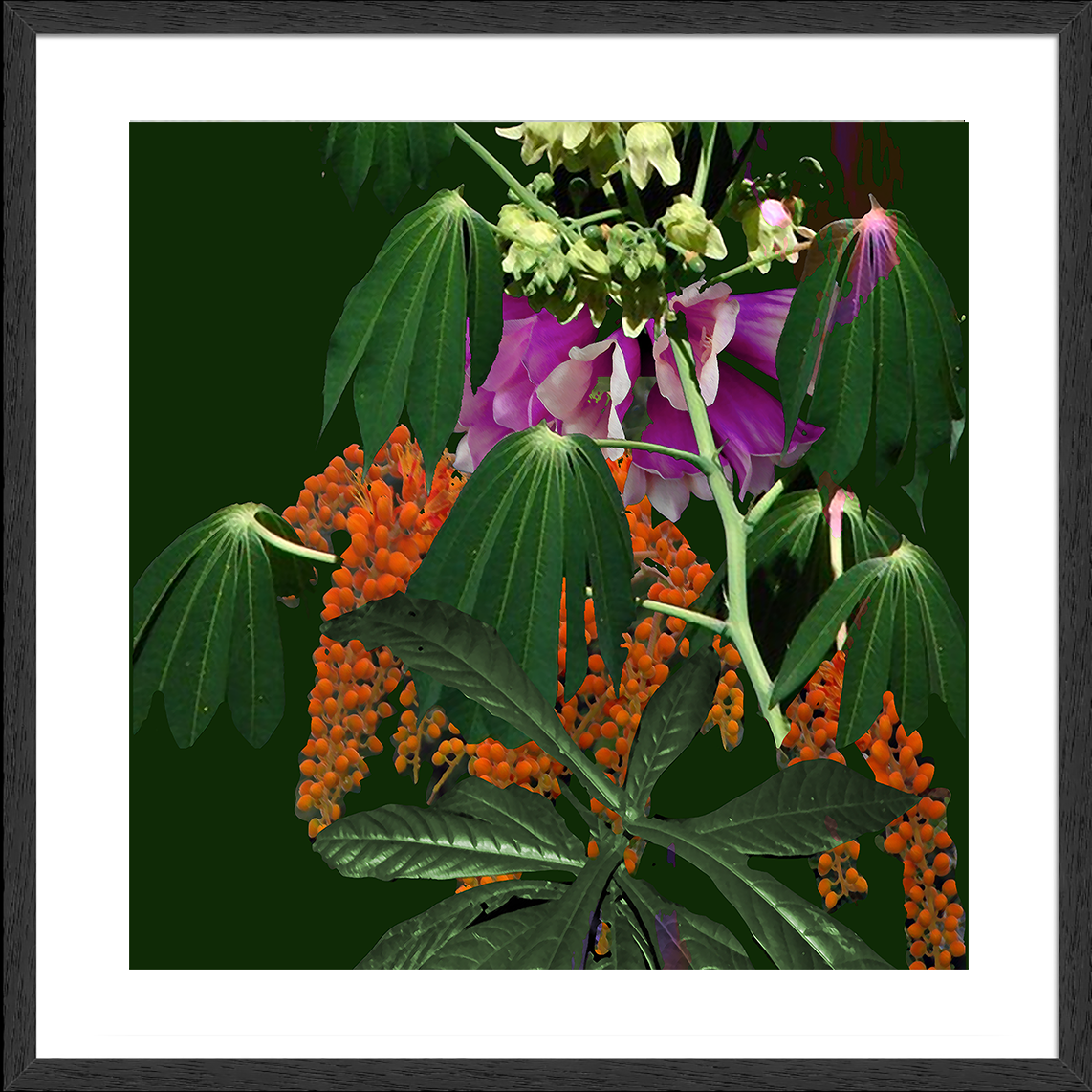 Framed Art Print - Nature Study in Living Colour