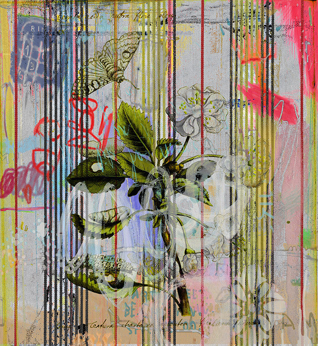 Wallpaper - Botanical Ticking - Floral